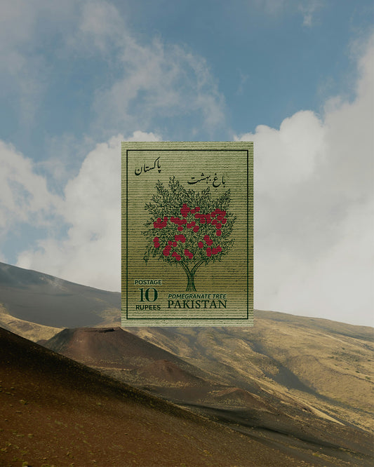 Pakistan Postage Print — The Pomegranate Tree