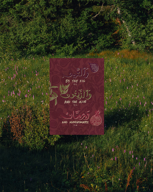 By The Fig, Olive & Pomegranates Print